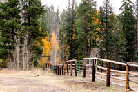 Image-1018