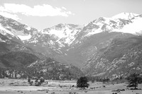 Image-1002